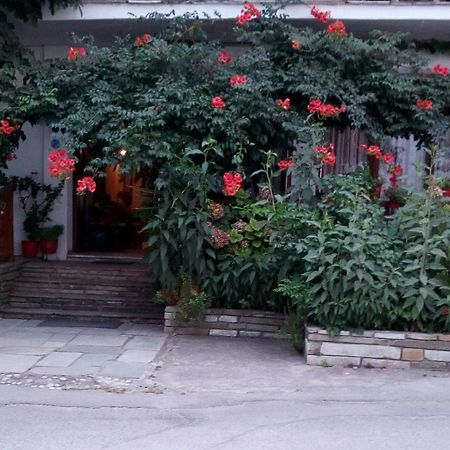 凯特琳娜酒店 霍里顿 外观 照片