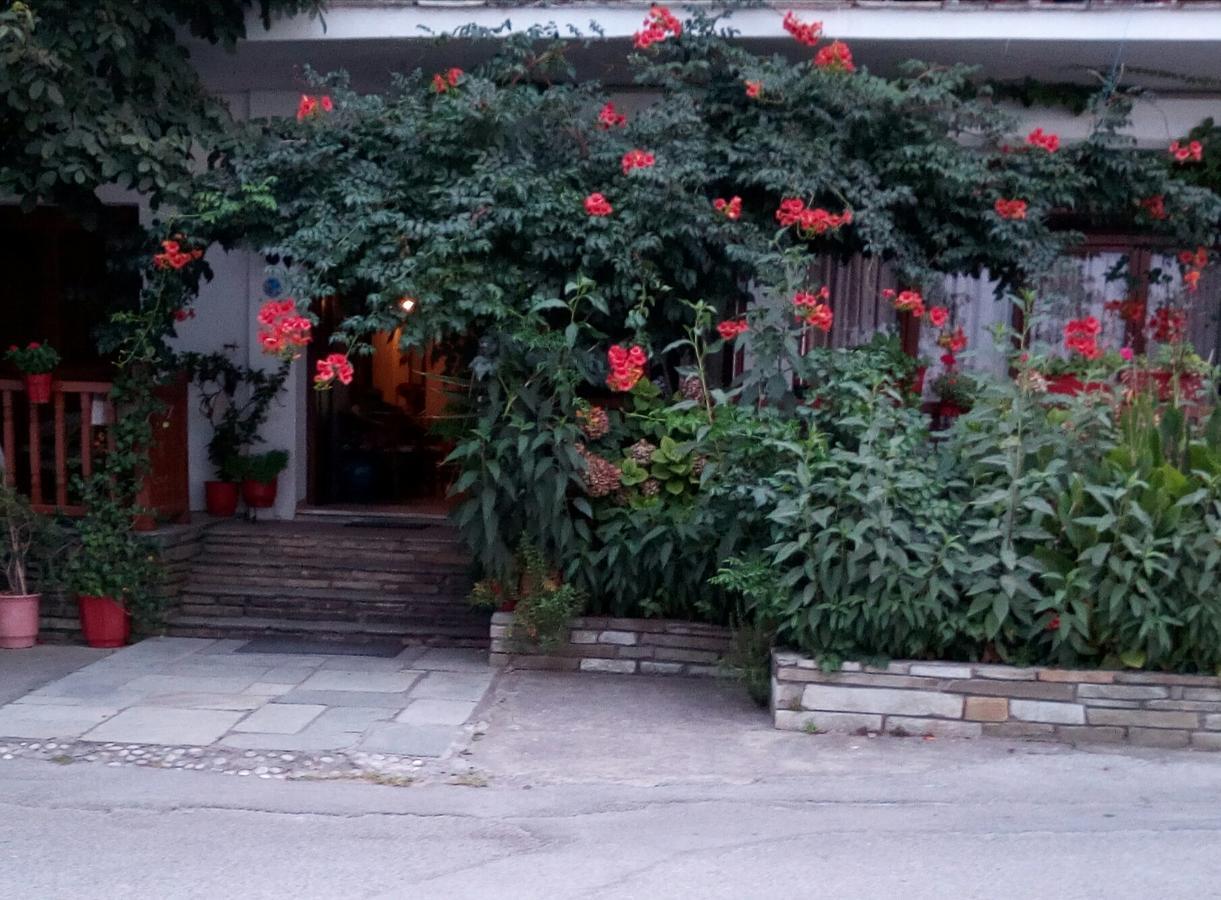 凯特琳娜酒店 霍里顿 外观 照片
